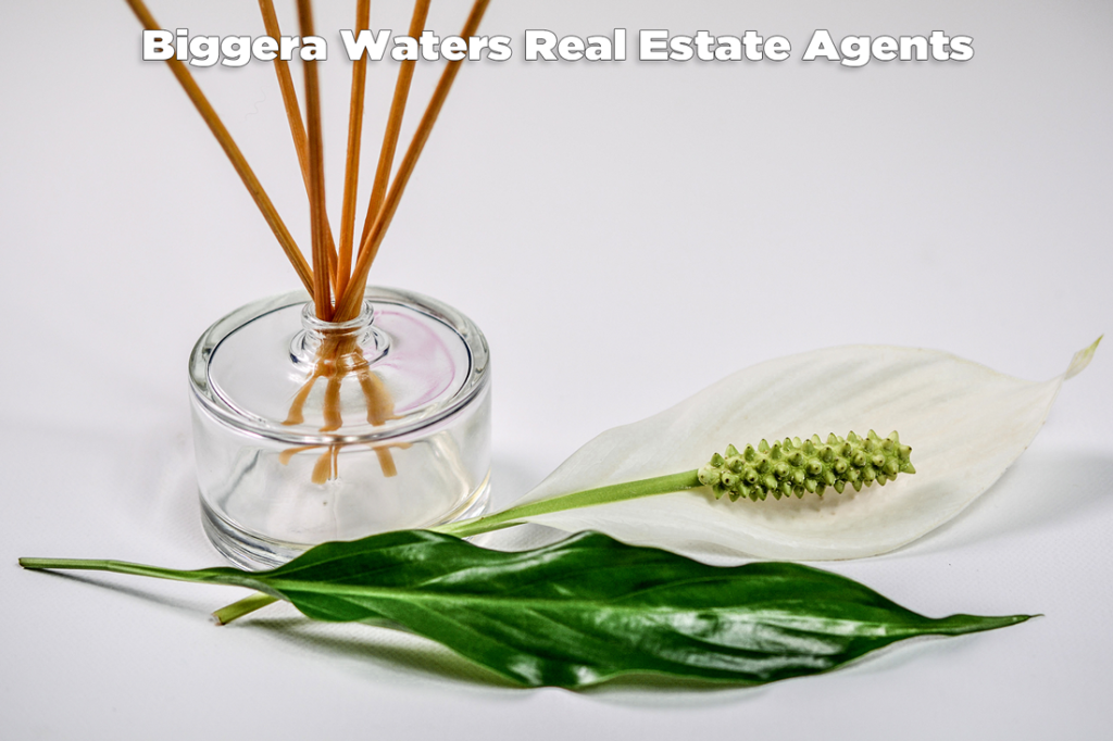 Biggera Waters Real Estate Agents - Craig Douglas 0418 189 963